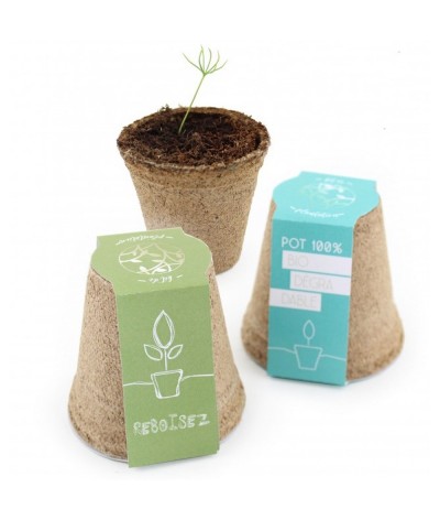Kit de plantation graine d’arbre pot tourbe biodégradable