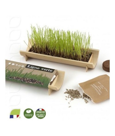 Kit de plantation en bambou naturel avec graines