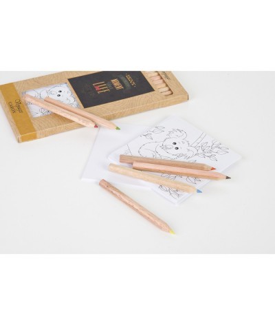 Kit de coloriage avec 12 crayons 8