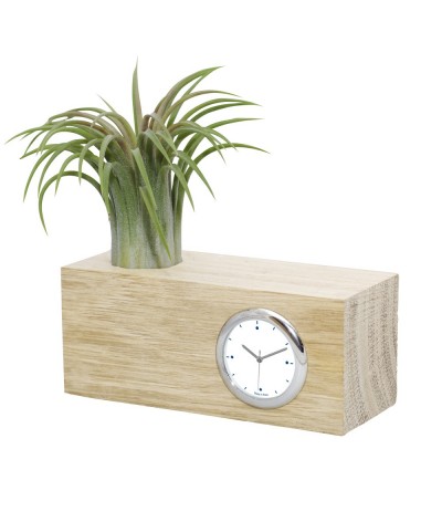 Plante avec pendulette