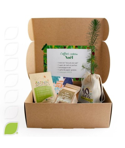 Sapin Epicéa et biscuits de Noël en coffret cadeau