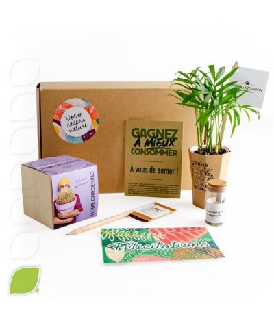 Plante à accrocher sur l'ordinateur avec crayon et cartes