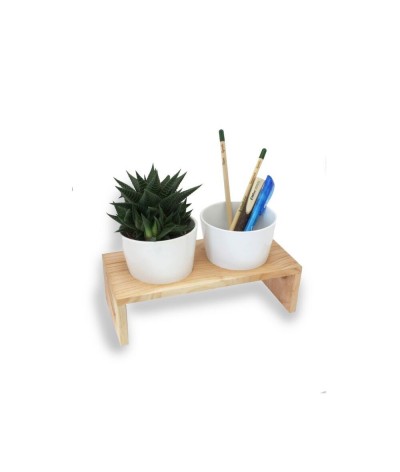 Pot à crayon & plante dépolluante - Made in France