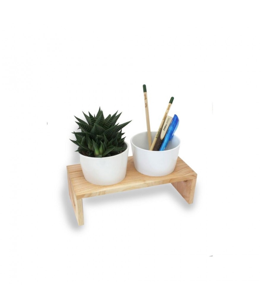 Pot à crayon & plante dépolluante - Made in France
