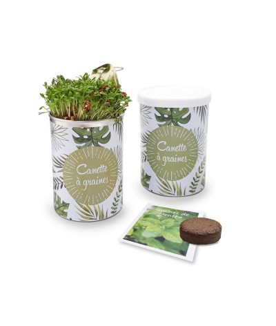 Smoothie à graines