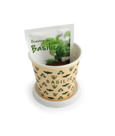 Kit plantation carton