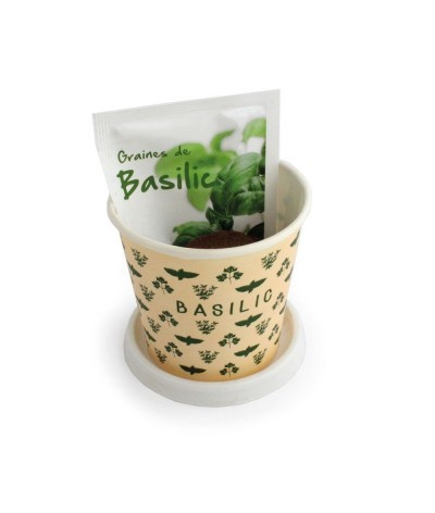 Kit plantation carton