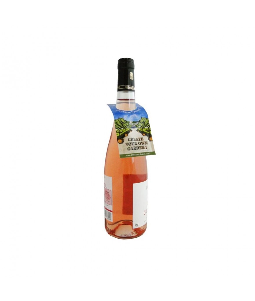 Graines sous sachet pour bouteille