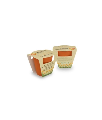 Pot de plantation terre cuite