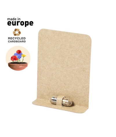 Graines de fleurs sauvages sous capsule