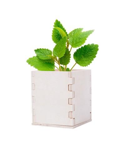 Pot de fleurs bois avec graines
